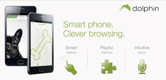 dolphin browser