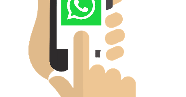 condividere posizione whatsapp
