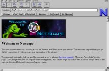 La vera storia dietro al fallimento di Netscape Navigator