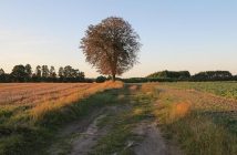 Come proteggere i dati con la crittografia end-to-end