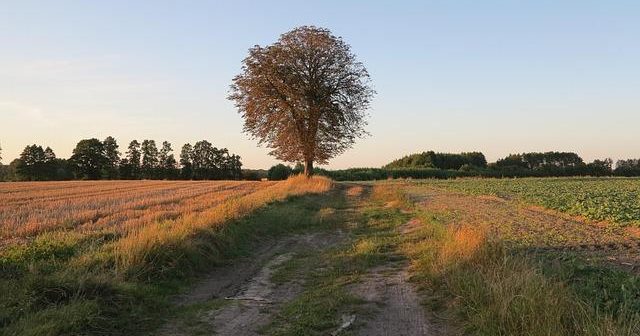 Come proteggere i dati con la crittografia end-to-end