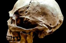 Final Cut vs Premiere: quale scegliere per editing