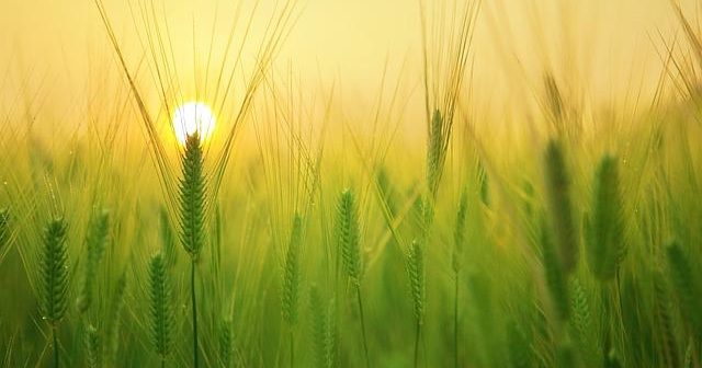 NAS vs cloud pubblico: costi e controllo dati