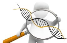 DNS: il sistema invisibile che regge il web