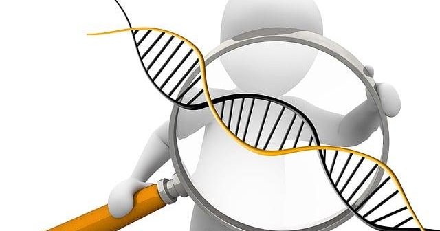 DNS: il sistema invisibile che regge il web