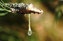 SAP: il software che ha trasformato le imprese