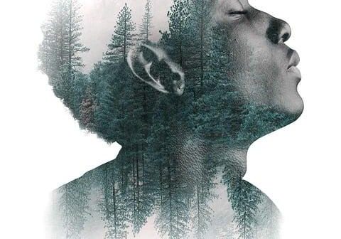 Photoshop vs GIMP: open source contro standard